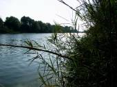 Klicke fr Voll Darstellung